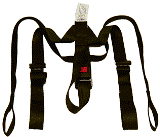Cam Harness for School Bus