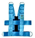 Child Securement