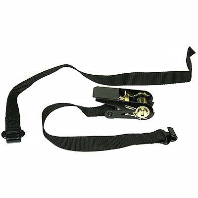 Battery Ratchet Strap, Blue Bird