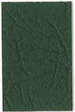 39" IC JUNGLE GREEN Staple Back Cover '93-'09